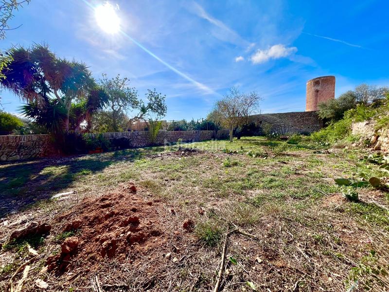 Foto 3b244131-bd47-44f2-ae14-6f14e24f179f. Xalet amb aparcament a Santanyí poble Santanyí