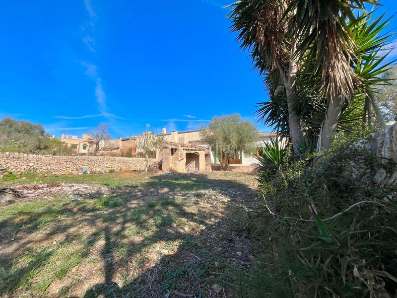 Foto 4994d492-d55c-4aea-9a0c-1600dad2c55d. Xalet amb aparcament a Santanyí poble Santanyí