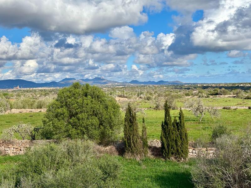 Foto f4052e3b-75ad-44cc-8fcf-b335807998e4. Masia amb aparcament a Cala Llombards Santanyí