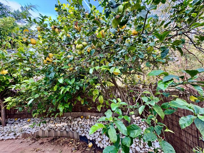 Foto 094836f7-3076-4ef1-ba1a-1b702ad5fb4f. Casa aparellada amb calefacció aparcament piscina a Llucmajor