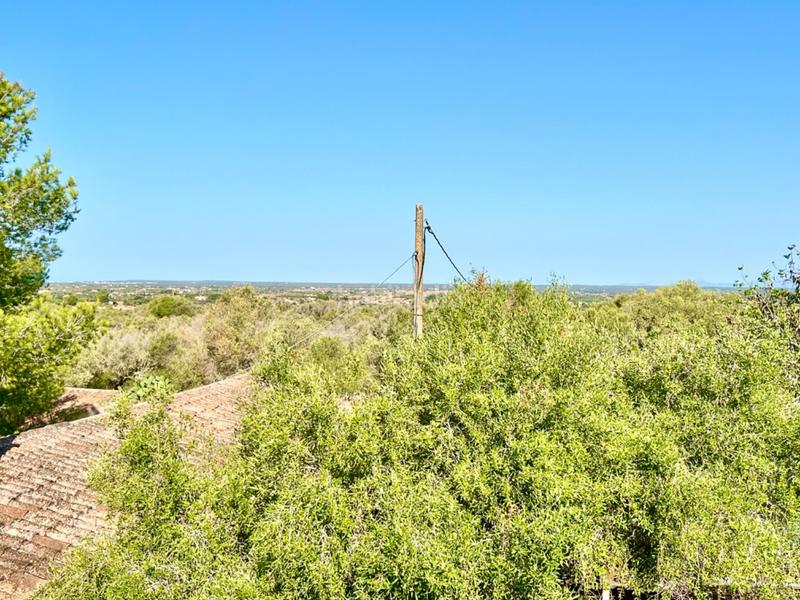 Foto c437cbee-88e2-4ded-876a-404173f61964. Casale con riscaldamento parcheggio in Zona Rústica - Interior Campos