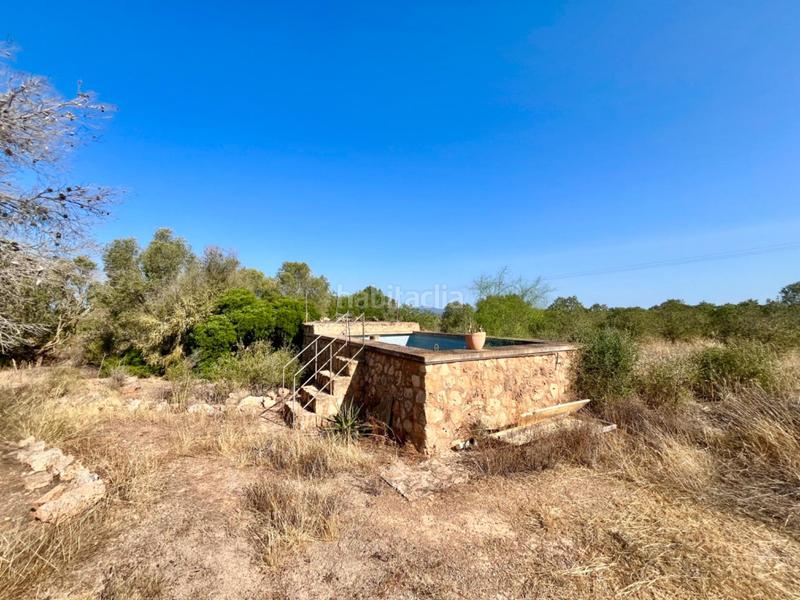 Foto d7599fe3-25fd-4cb0-8653-a20bd9a115df. Casale con riscaldamento parcheggio in Zona Rústica - Interior Campos