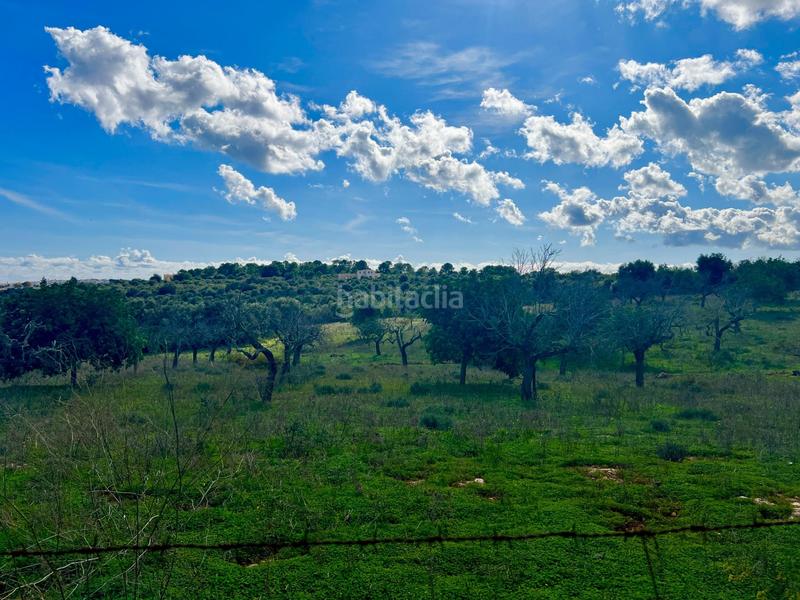 Foto 5c515db6-5bef-49eb-ab6d-78aa48ac1c83. Residential plot in Cala Magrana-Cala Anguila-Cala Mendia Manacor