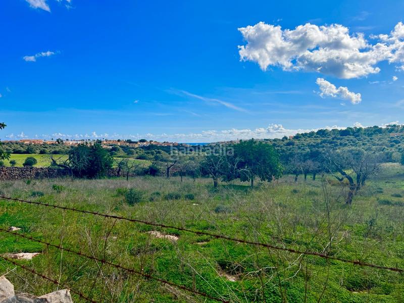 Foto 7487e5d6-5d45-4b10-bdef-e6c3ab50db36. Residential plot in Cala Magrana-Cala Anguila-Cala Mendia Manacor