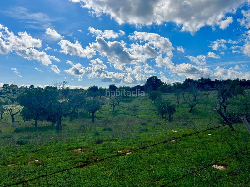 Foto dbf72623-6a1d-4417-9eb7-4b9540217365. Residential plot in Cala Magrana-Cala Anguila-Cala Mendia Manacor