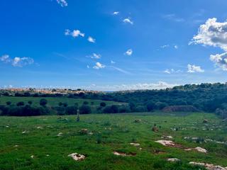 Terreno residencial en Cala Magrana-Cala Anguila-Cala Mendia. Proyecto de vivienda unifamiliar de diseño con vistas al mar en