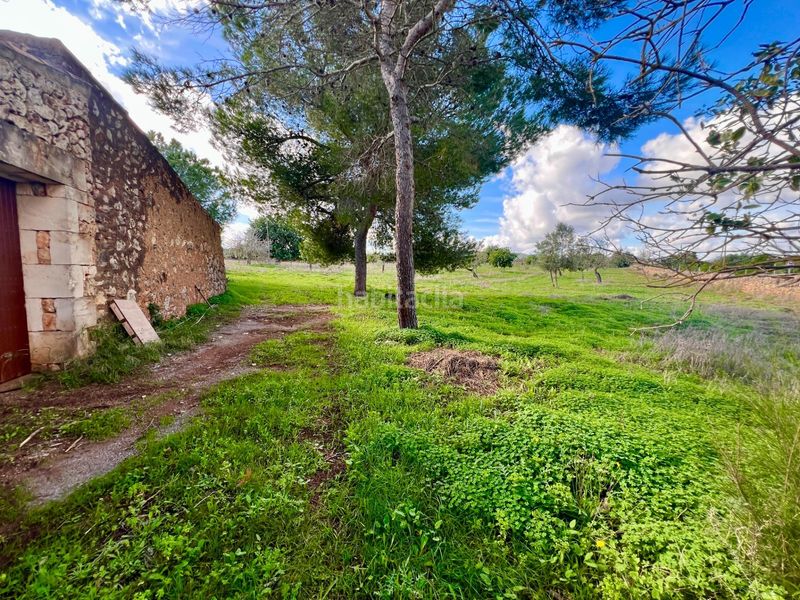 Foto 146ee948-7f70-4ada-8d8d-d8ea0d6c5349. Finca rústica a Cala Magrana-Cala Anguila-Cala Mendia Manacor