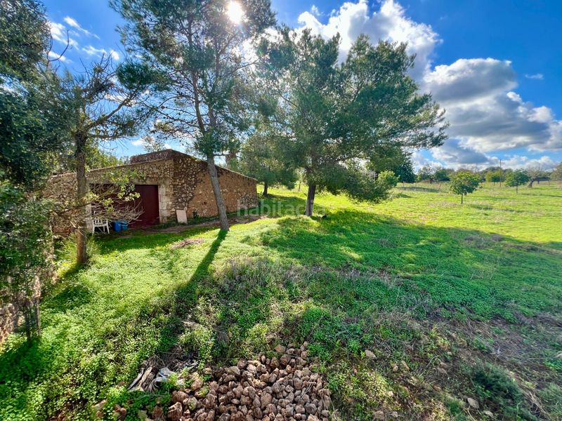 Foto 5d865825-aef0-4a25-b6eb-0dec9b99b012. Finca rústica a Cala Magrana-Cala Anguila-Cala Mendia Manacor