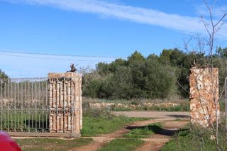 Terreno residencial en Campos poble. Parcela edificable con gran privacidad en campos  14.625 m2