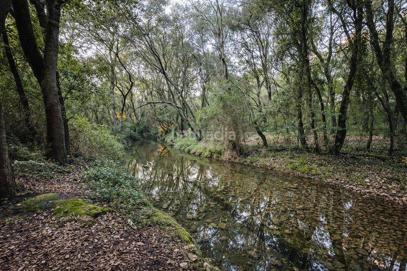 Foto e8054a2e-ec8a-43d9-b05f-d68e43001610. Masía finca rústica completamente legal en Búger