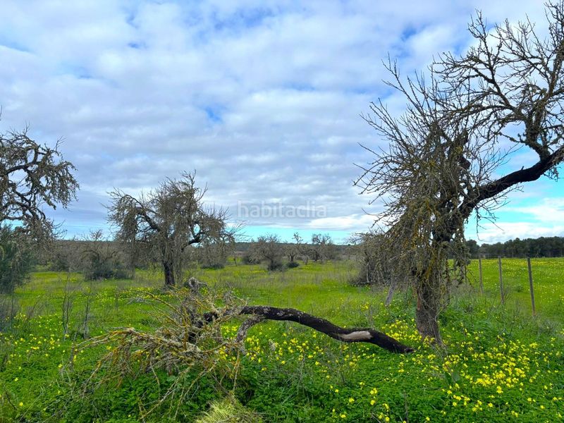 Foto 34113d28-47bc-40b8-9a4e-2707df2d0616. Finca rústica a Zona Rústica - Interior Campos