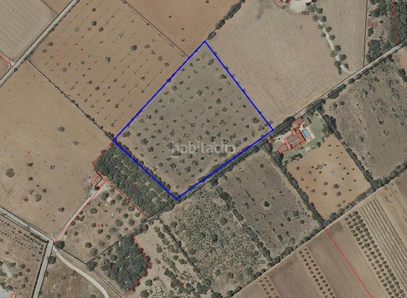 Foto 51e31671-aa6c-4554-aae2-2c4df6de8b76. Finca rústica a Zona Rústica - Interior Campos