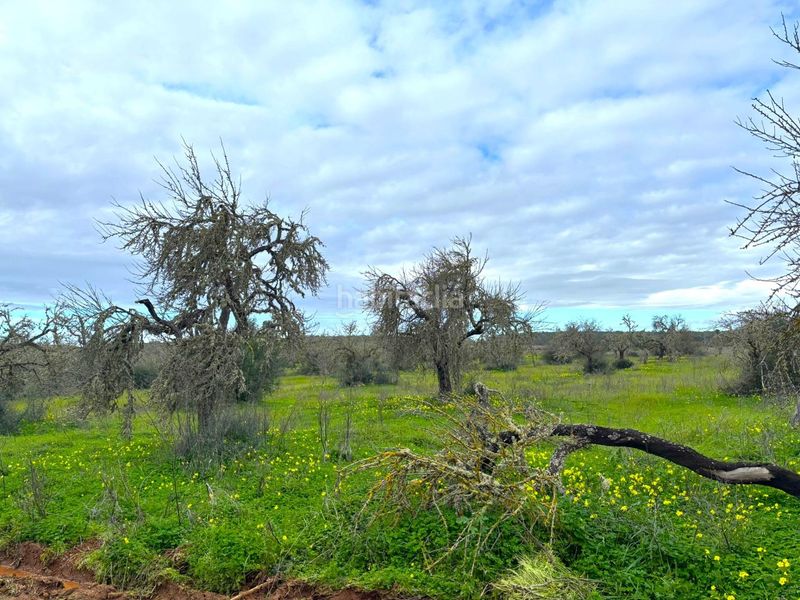 Foto b544b784-ebfe-453b-a2d6-615da0d9e591. Finca rústica a Zona Rústica - Interior Campos