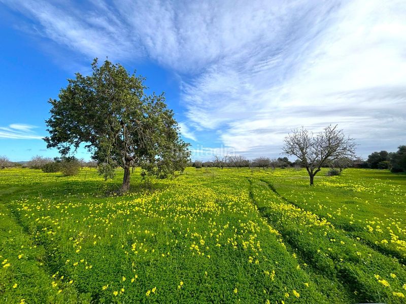 Foto c1767686-a382-432f-a969-61667b978c8f. Finca rústica a Zona Rústica - Interior Campos