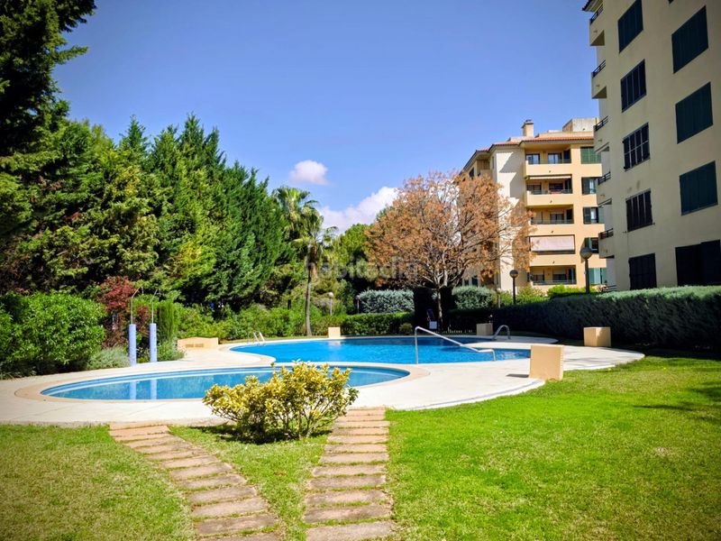 Foto 5ca634a1-7e81-4719-b08e-294ce1e3087e. Ground floor with heating parking pool in Son Cotoner Palma de Mallorca
