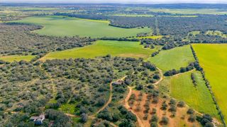 Terreny residencial a 01900100ed-05 son danus nou. santanyi (illes balea 0. Excepcional finca rústica de gran extensión cerca de santanyí  p