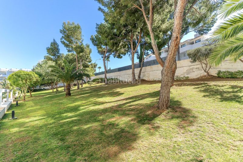 Foto 0b443e5c-cfd6-44cc-a770-36b357ce79cf. Planta baixa amb aparcament piscina a Palmanova Calvià
