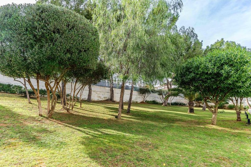 Foto be7c1364-7c41-4b84-a8cc-cf5b3b8db518. Planta baixa amb aparcament piscina a Palmanova Calvià