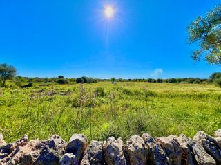 Residential Plot in Es Llombards. Exclusivo terreno con proyecto a 5 minutos de santanyí.