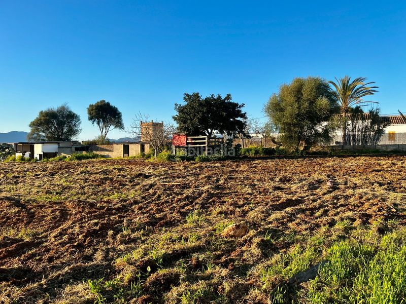 Foto 0c5aaac7-0583-4ca7-b7cf-a461d538b9ab. Finca rústica a Son Ferriol Palma de Mallorca