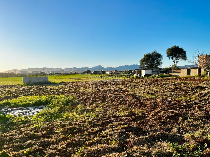 Foto 643c8656-7036-40af-87c6-58626de46d9b. Finca rústica a Son Ferriol Palma de Mallorca