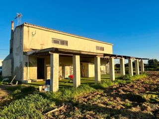 Fondo rustico in Son Ferriol. Terreno agrario con construcción en son ferriol