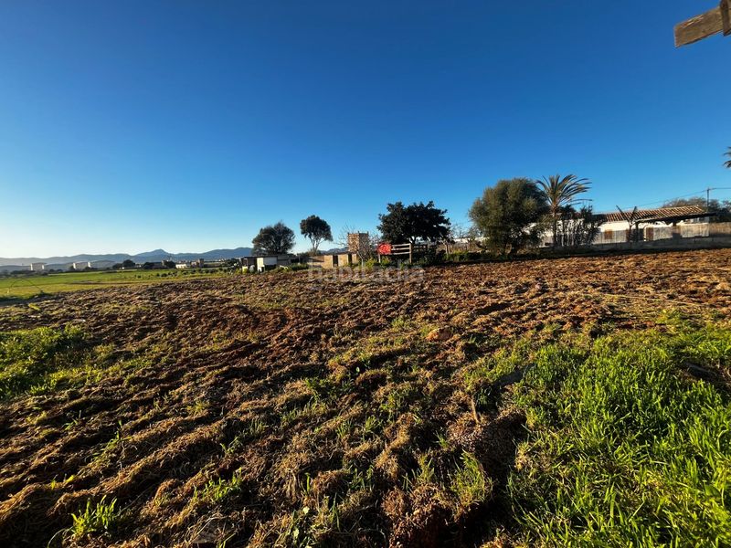 Foto 8ae40715-4a3d-4a35-9407-89709d22507a. Finca rústica a Son Ferriol Palma de Mallorca