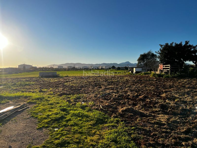 Foto 933102e7-972b-4ddf-a840-a4115dab10b7. Finca rústica a Son Ferriol Palma de Mallorca