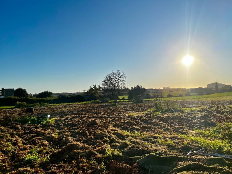 Foto a412b688-f67b-4fa8-b2f7-13b8dc67b656. Finca rústica a Son Ferriol Palma de Mallorca