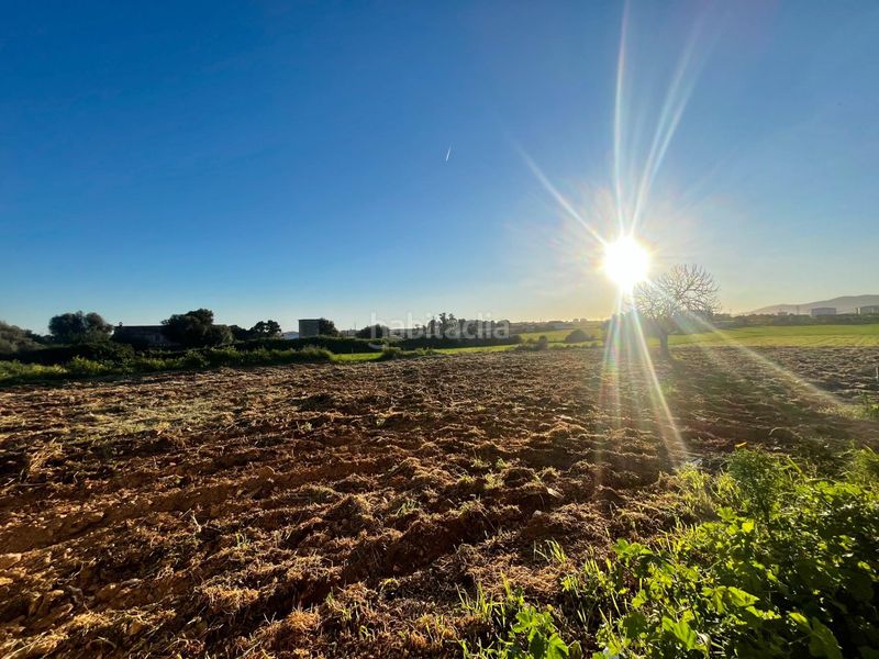 Foto ac39f67f-d655-4d83-85e8-e71283ae0eda. Finca rústica a Son Ferriol Palma de Mallorca