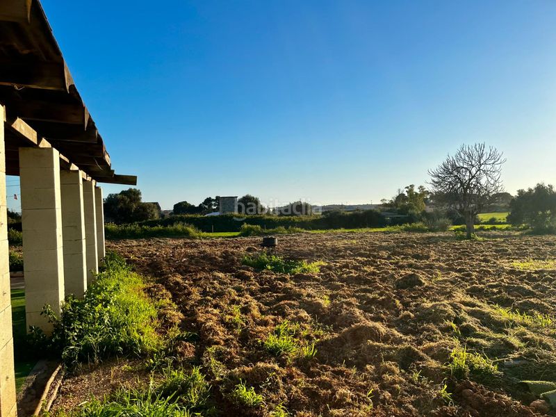 Foto cb59ae8b-4a9f-4256-8fcf-0bf0b4250609. Finca rústica a Son Ferriol Palma de Mallorca