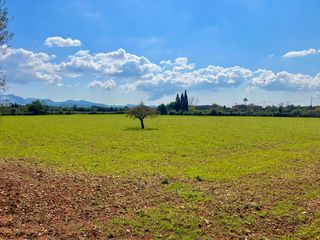 Terreny residencial a Porreres. Finca rústica de 14.884 m2 entre porreres y felanitx con especta