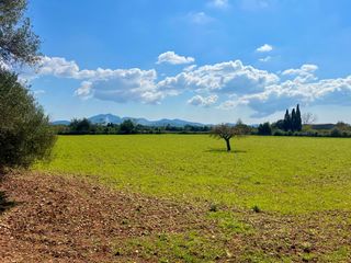 Terreny residencial a Porreres. Finca rústica de 14.884 m2 entre porreres y felanitx con especta
