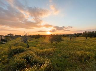 Wohngrundstück  Carrer llucmajor -  cala pi. Finca rustica en llucmajor  cala pi