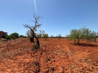 Residential Plot  Carrer llucmajor. Finca rustica en llucmajor  cala pi