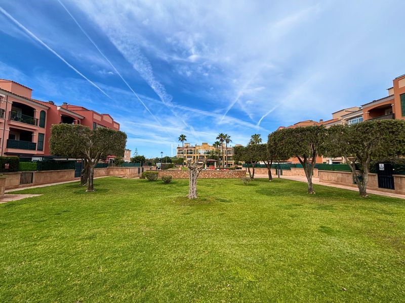 Foto 05855cf7-ecc9-4894-962f-fd873fd71e4b. Àtic amb calefacció aparcament piscina a Sa Torre Llucmajor