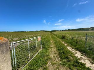 Finca rústica a Petra. Exclusiva oportunidad inmobiliaria en petra parcela de ensueño c