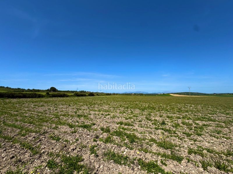Foto 1373c4d2-ad2f-44d0-959c-447041fc6cd6. Terreny residencial a Petra