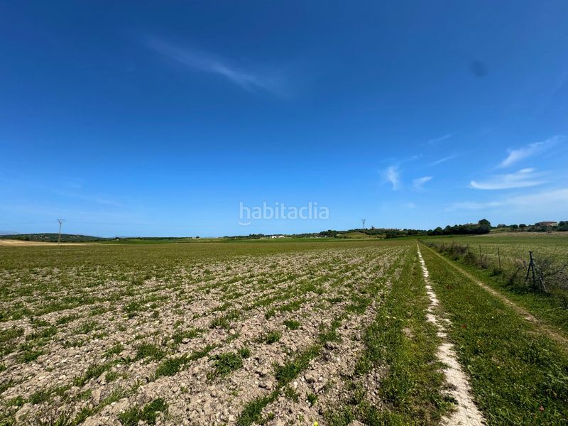 Foto 24f6a75d-f267-469c-aeb7-22841350fe79. Terreny residencial a Petra
