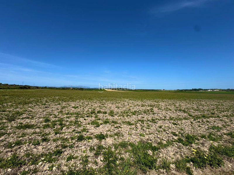 Foto 93b045df-b0f5-461f-9b27-8f4ab9b0d783. Terreny residencial a Petra