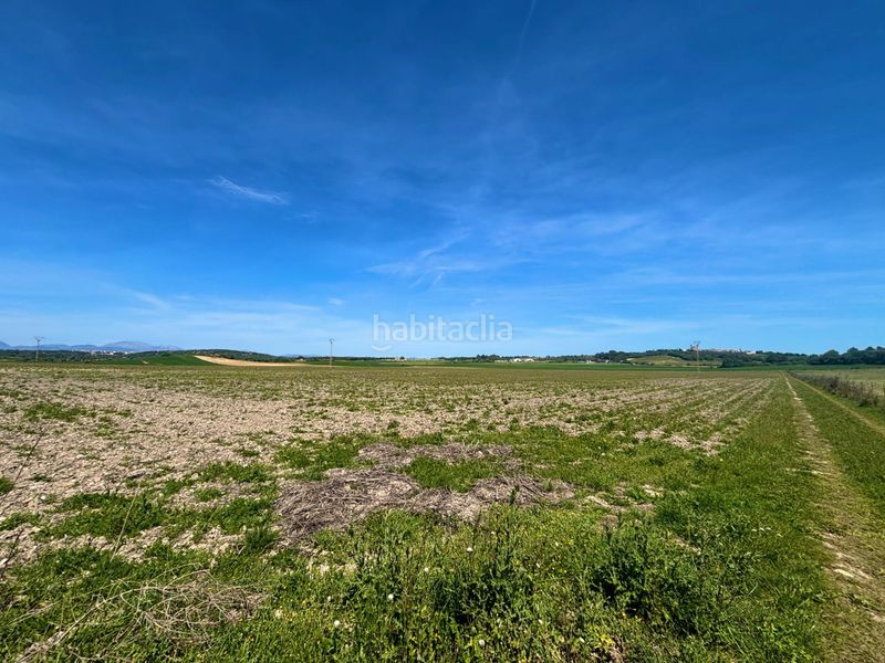 Foto d70df47f-e6d3-4369-b08c-5891ee3fe984. Terreny residencial a Petra