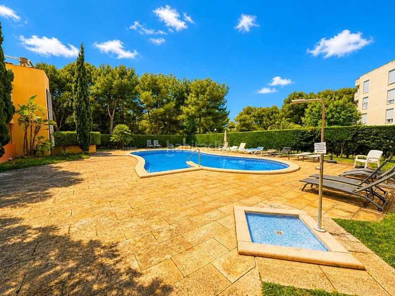 Foto 5d3ff67c-33e8-4731-83d2-0257f240e074. Planta baixa amb calefacció aparcament piscina a Llucmajor