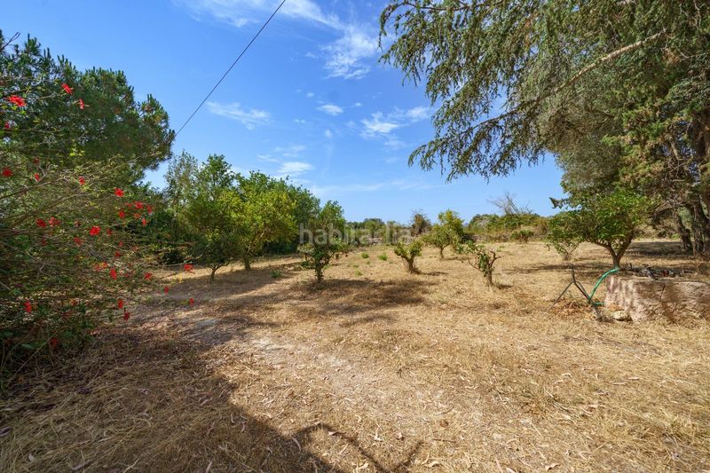 Foto 21b8b4af-ade3-4036-a957-ecf3b7bacfbc. Masia amb aparcament a Artà poble Artà