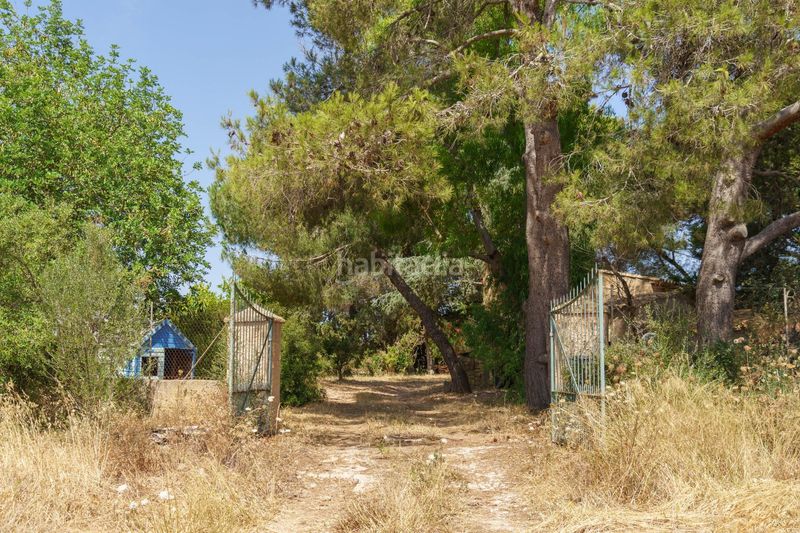 Foto 5855a767-c4c3-4922-998f-b06d6debb64a. Masia amb aparcament a Artà poble Artà