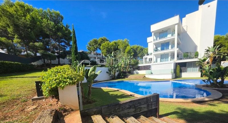Foto 381319bb-087b-4530-9b50-b9106c3148b0. Erdgeschoss mit heizung parking pool in Palmanova Calvià
