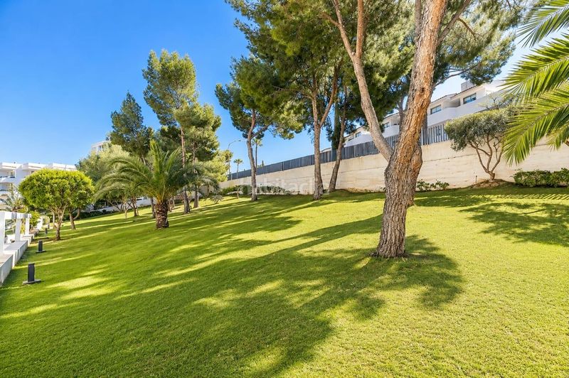 Foto ede3539d-78ad-46fa-9ad0-145bdbde60a9. Erdgeschoss mit heizung parking pool in Palmanova Calvià