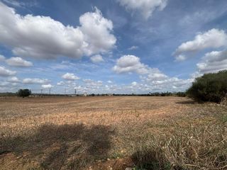 Terreno residenziale in Campos poble. Proyecto de vivienda unifamiliar con licencia de obras aprobada