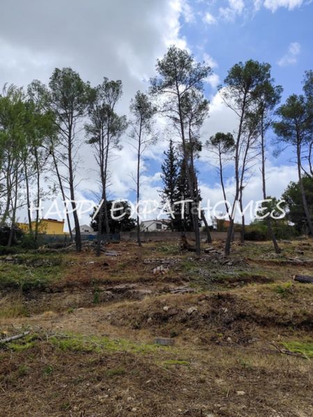 Foto 36cd1f7c-03e2-4653-8e2e-4d433a6d4d2f. Terreny residencial a Olivella