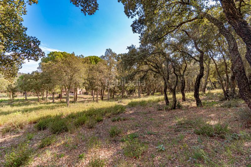 Foto a9bebfa0-93f8-44c3-9ba4-3b3541ec9af6. Casa en n/a casa / chalet independiente en venta en les planioles 1, masarac en Masarac i Vilarnadal