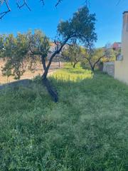 Terreny residencial a Mas den Gall. Terreno urbanizable de 466 m2 ubicado en urbanizacin mas d`en g